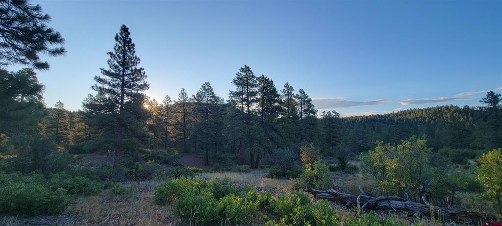 Lot 4 Beaver Creek Ranch Dr