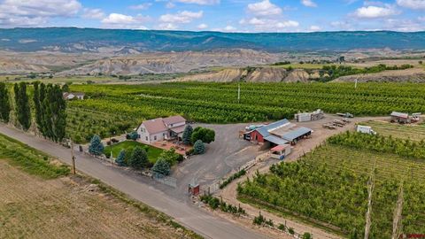 20809 Nowhere Road Eckert CO 81418