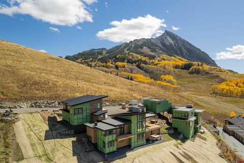 63 Cinnamon Mountain Road Mt. Crested Butte CO 81225