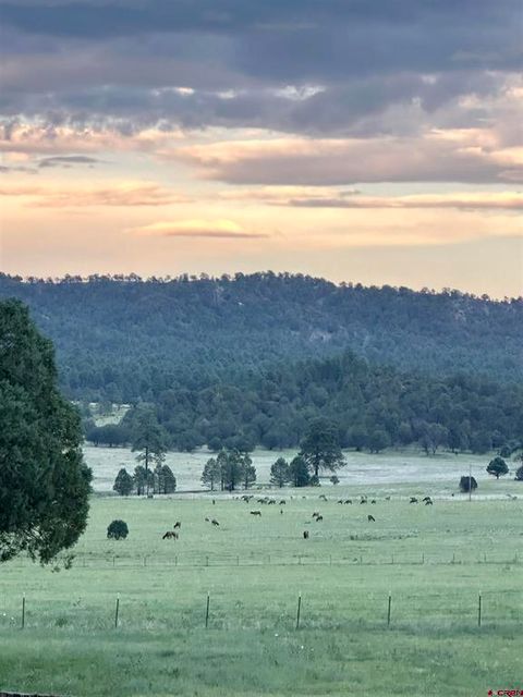 200 Meadow Lane Sky Ranch Mimbres NM 88049