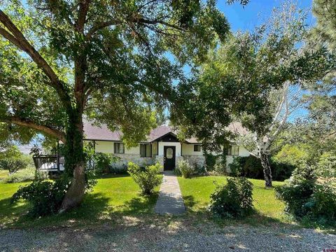 Photo of 39594 Pitkin Road, Paonia, CO 81428 (MLS # 832499)