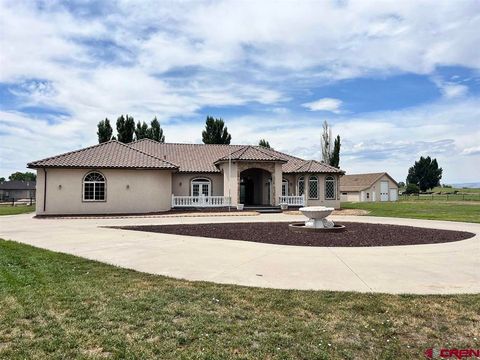 1630 La Mesa Court Fruita CO 81521