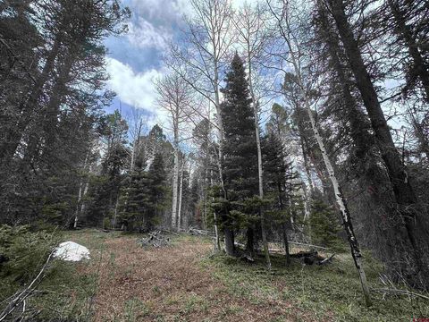 766 Crest Drive Cimarron CO 81220