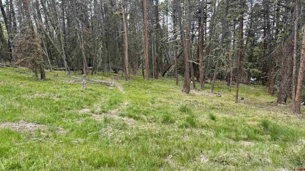 Photo 1 of 12 — 1301 Spruce Road, Cimarron, CO 81220