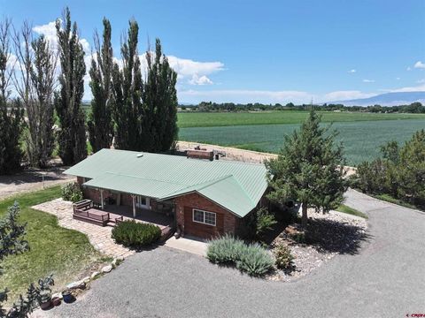 Photo of 6755 5600 Road, Olathe, CO 81425 (MLS # 827598)