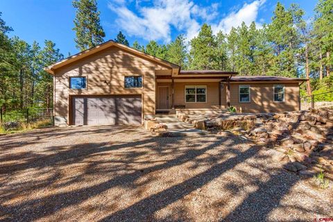 1175 Pine Tree Drive Bayfield CO 81122