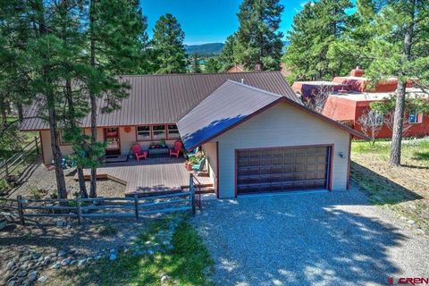 Photo of 293 Pines Drive, Pagosa Springs, CO 81147 (MLS # 834797)