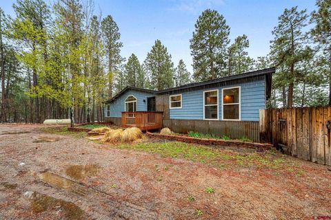 448 Deer Ridge Drive Bayfield CO 81122