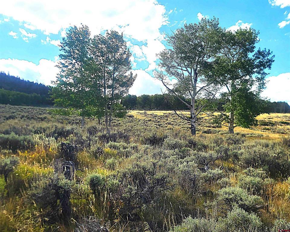 TBD Monarch Road