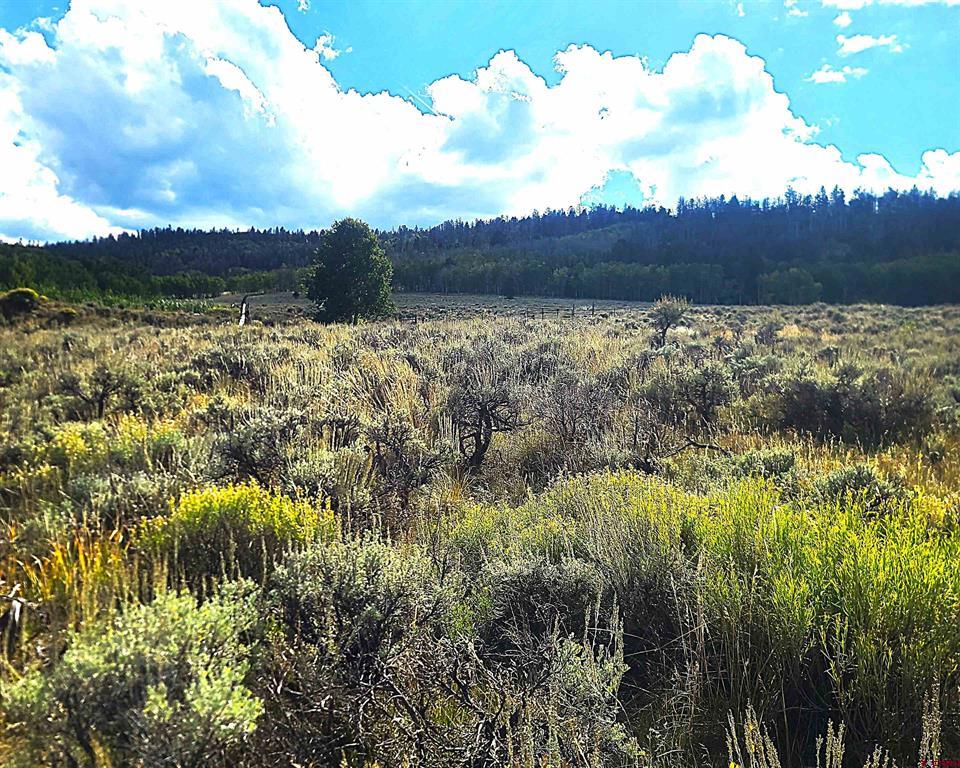 TBD Monarch Road