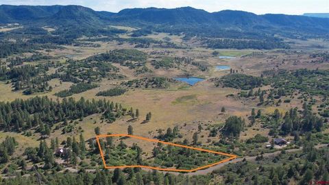 311 E Arbol Park Drive Pagosa Springs CO 81147
