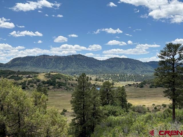 311 E Arbol Park Drive