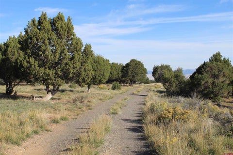 Photo of 215 County Road 22A, Montrose, CO 81401 (MLS # 839583)