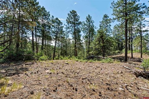 319 Blue Ridge Circle Bayfield CO 81122