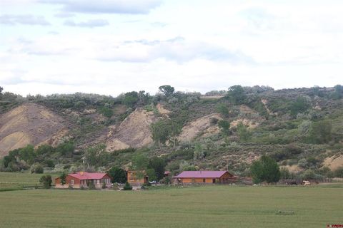 Photo of 11694 Trap Club Road, Austin, CO 81410 (MLS # 825563)