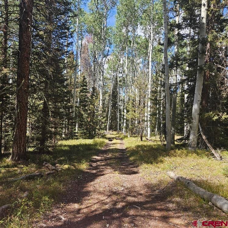 155 Aspen Trail