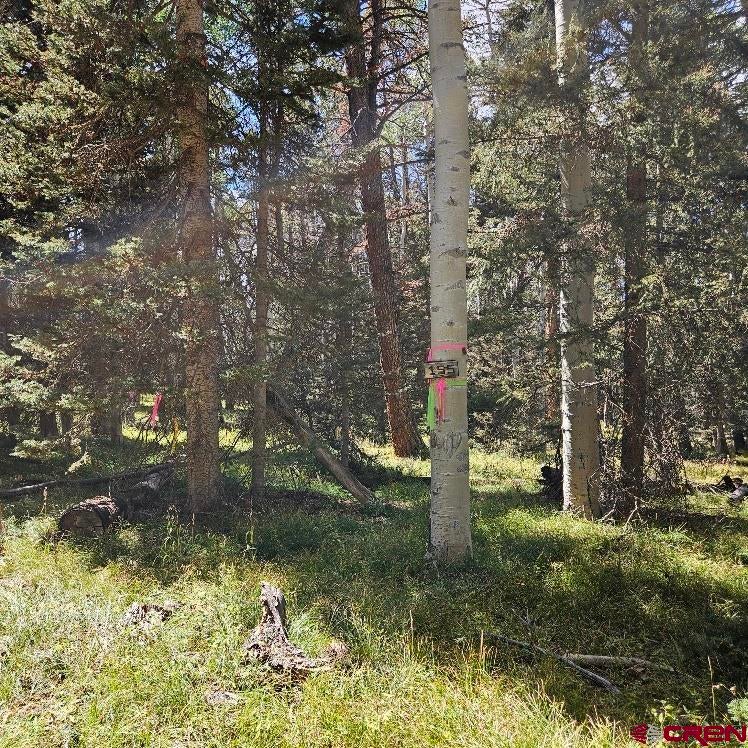 155 Aspen Trail
