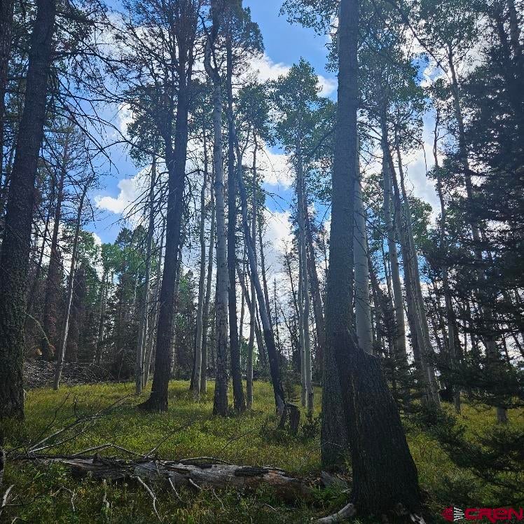 155 Aspen Trail
