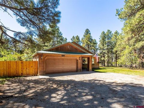 Photo of 759 Antelope Avenue, Pagosa Springs, CO 81147 (MLS # 835316)