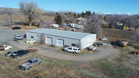 21256 Myers Road Eckert CO 81418