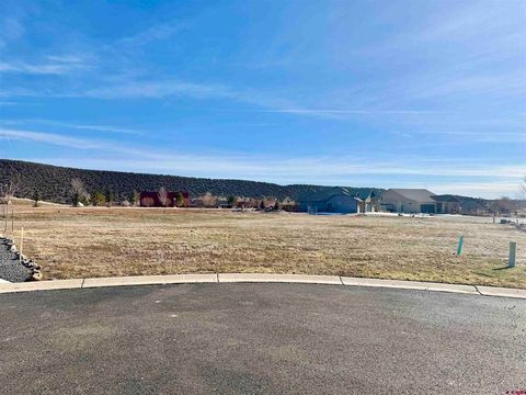 Photo of 325 SE Limestone Court, Cedaredge, CO 81413 (MLS # 831466)