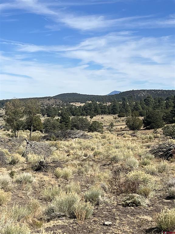 000 Forest Road 19 Road Mangitas Springs Ranch