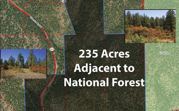 TBD ROAD 36.5, MANCOS, CO 81328 - Image fbb6155aa909a8bc4e0d96bacad4ae15/401716849