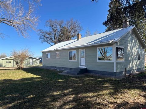 11238 5800 Road Montrose CO 81403