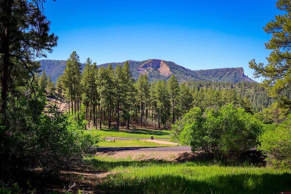 379 IRONWOOD DR, PAGOSA SPRINGS, CO 81147 - Image fc274c5e446dcde9ef2b5a19fe0de3ab/2873418752