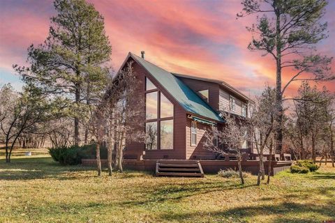 636 Capitan Circle Pagosa Springs CO 81147