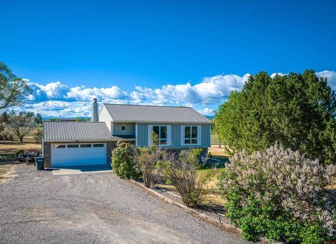 Photo of 61100 Lobo Drive, Montrose, CO 81403 (MLS # 833664)