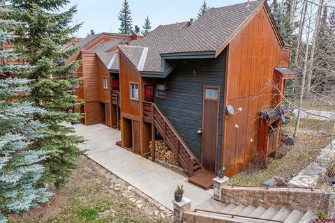 166 Yankee Girl Court 201 Durango CO 81301