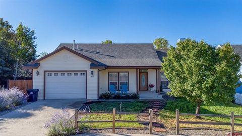 417 Angel Way Mancos CO 81328
