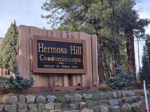 34237 N US Highway 550 #9 #9 Durango CO 81301