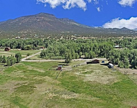 540 Comanche Trail South Fork CO 81154
