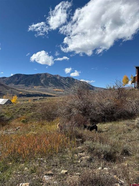 504 Anderson Drive Crested Butte CO 81224