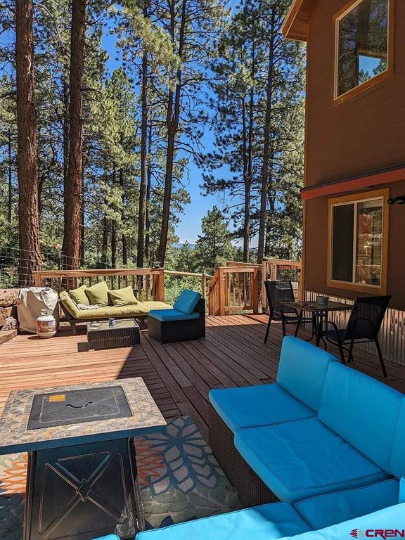 113 Blue Ridge Circle