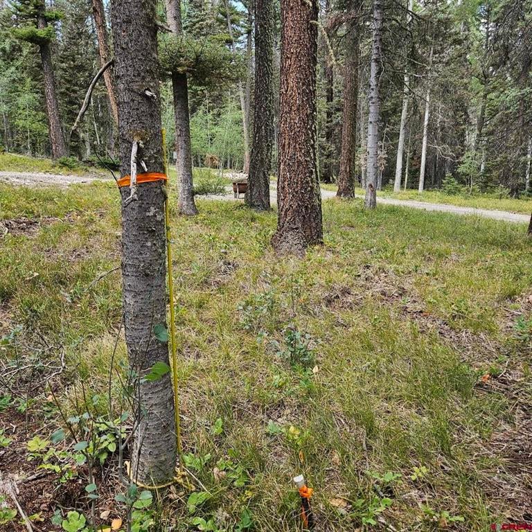 764 Deer Trail