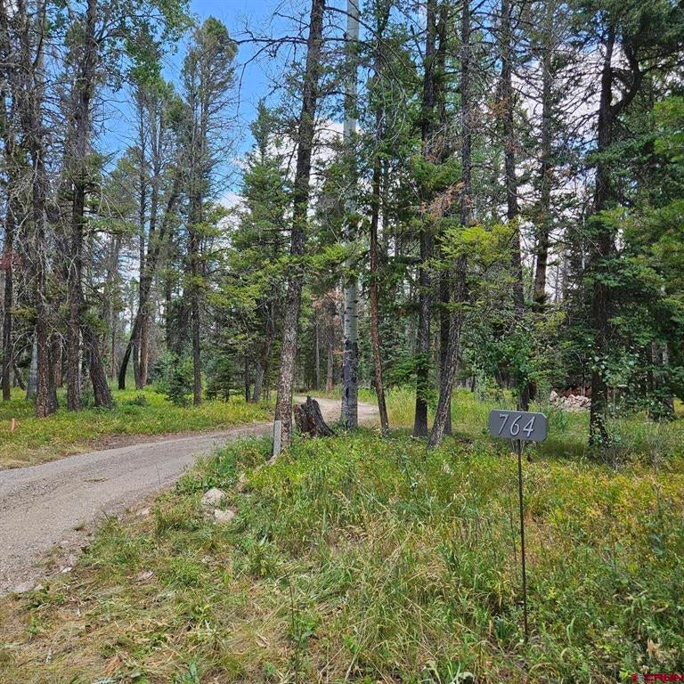 764 Deer Trail