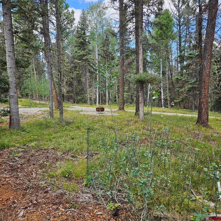 764 Deer Trail