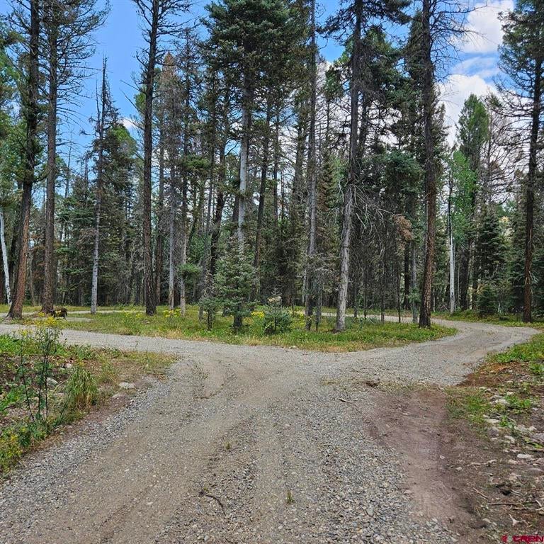764 Deer Trail