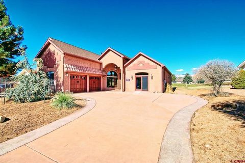 1180 SE Deer Creek Drive Cedaredge CO 81413