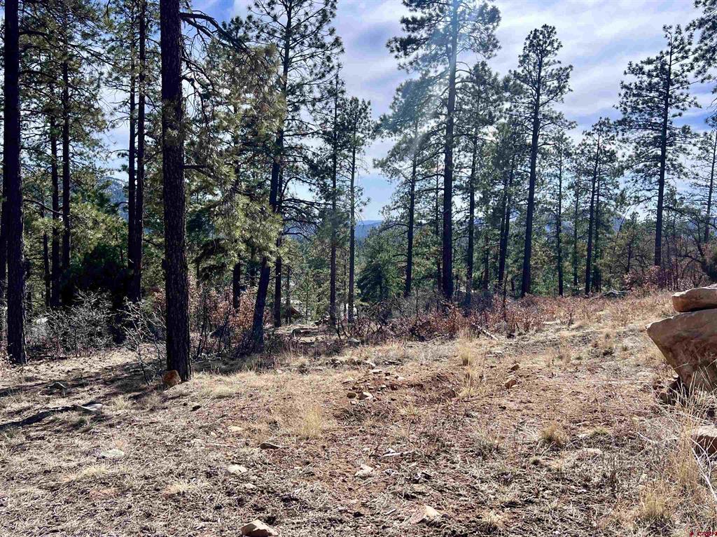 767 Red Canyon Trail