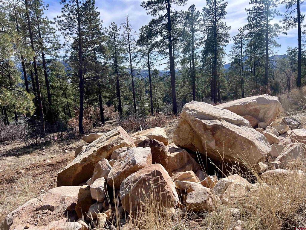 767 Red Canyon Trail