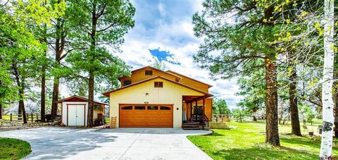 77 Fisher Court Pagosa Springs CO 81147