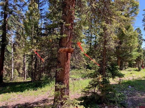 147 Ridge Road Cimarron CO 81220