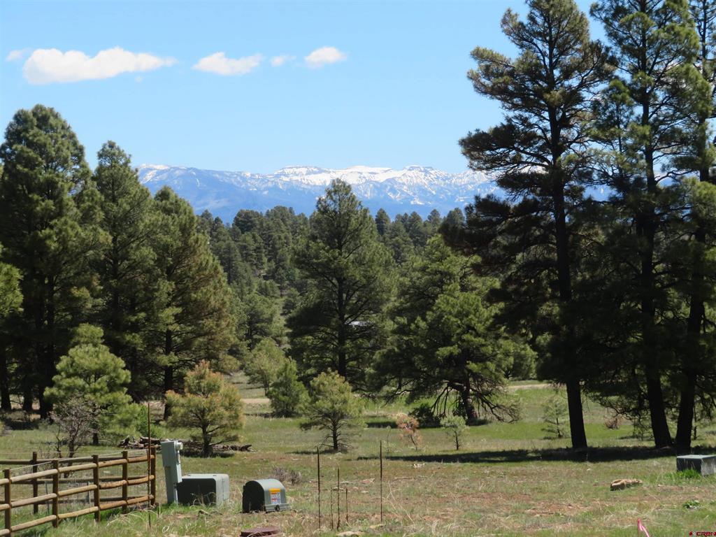 980 Trails Boulevard