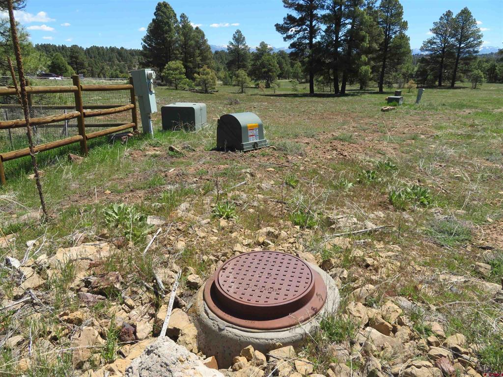 980 Trails Boulevard