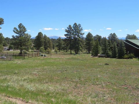 980 Trails Boulevard Pagosa Springs CO 81147