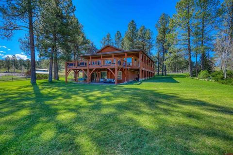 Photo of 146 Easy Street, Pagosa Springs, CO 81147 (MLS # 833710)